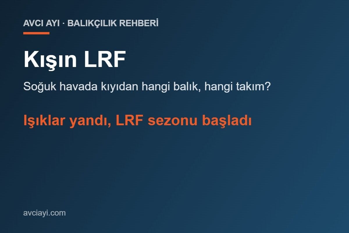 Kışın LRF: Soğuk Havada Kıyıdan Hangi Balık, Hangi Takım?
