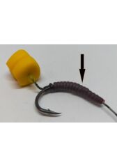 Renat Carp İğne Gizleyici Solucan