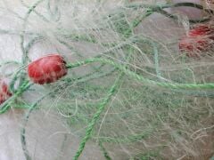 Yavru Balık Yakalama Ağı 5 Metre