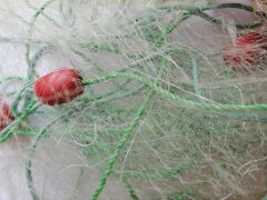 Yavru Balık Yakalama Ağı 5 Metre