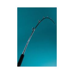 Fujin SeaForce 200cm 200-400g Tekne-Bot Kamışı