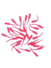 Fujin Baby FRY 2,7cm LRF Silikon Yem