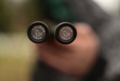 Savage Gear SG4 Shore Game 2.74m 10-30 gr Spin Olta Kamışı