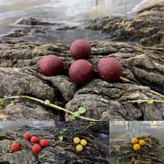 ECT Baits Sazan Yemi 250 gr İğnelik Boili (20cm)