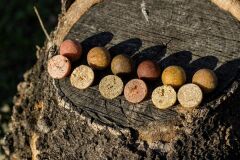 ECT Baits Sazan Yemi 250 gr İğnelik Boili (20cm)