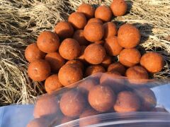 ECT Baits Sazan Yemi 250 gr İğnelik Boili (20cm)