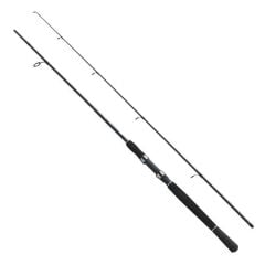 Fladen Xtra Flexx 2.40m 15-40g Spin Olta Kamış