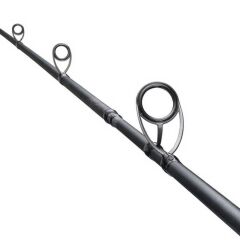 Shimano Salty Advance Spinning Sea Bass 2.90m 8-45g Spin Olta Kamışı