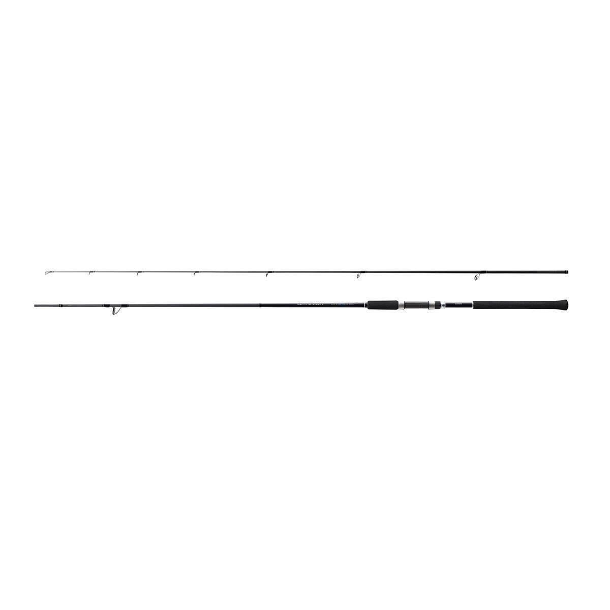 Shimano Salty Advance Spinning 2.90m max 80g Spin Kamışı