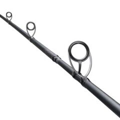 Shimano Salty Advance Spinning 2.90m max 80g Spin Kamışı