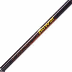 Albastar Telecast 3.60m 100-200g Surf Olta Kamışı