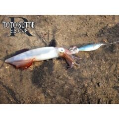 Yamashita Toto Sutte R Kalamar Zokası Ws95Nc